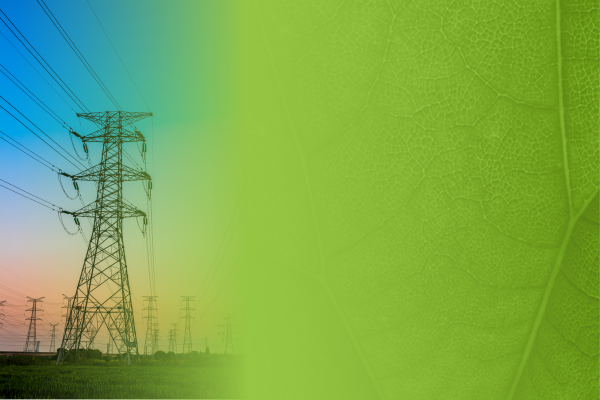 <strong>欧盟CBAM数据填报实战指南</strong>